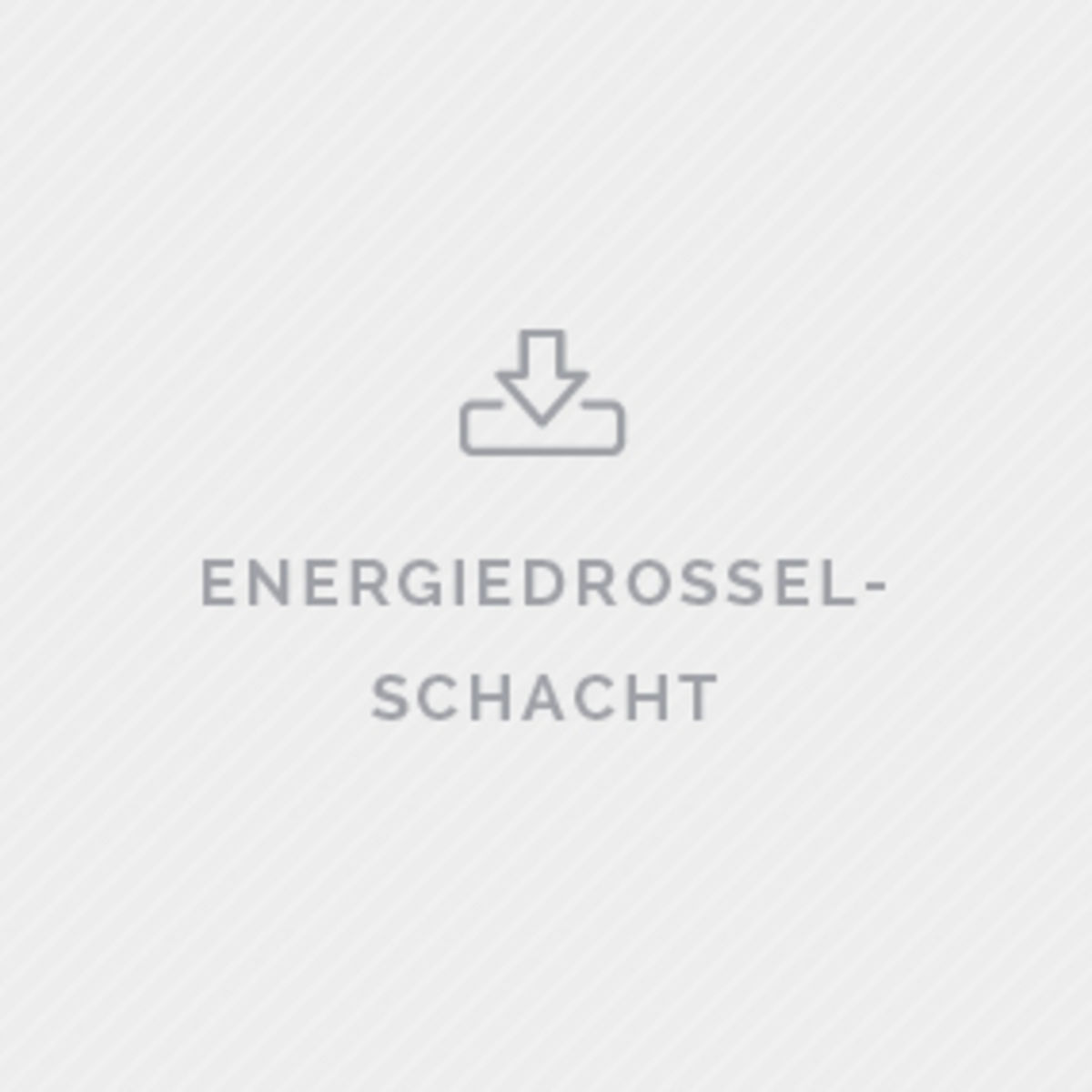 Bestellformular Energiedrosselschacht